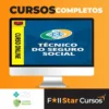 Técnico do Seguro Social do INSS - Direção Concursos