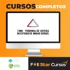TJ MG - Analista Judiciário: Assistente Social Judicial - Gran Cursos Online