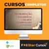 Introdução à Filosofia de Olavo de Carvalho - Ronald Robson