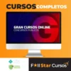 FMS/PI: Conhecimentos Basicos Comuns para os Cargos de Nivel Superior - Gran Cursos Online