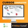 WP Mail SMTP PRO - v4.1.1 - Plugin