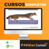 O'Reilly Books: UX Strategy How to Devise Innovative Digital Products that People Want - Jaime Levy [INGLÊS]